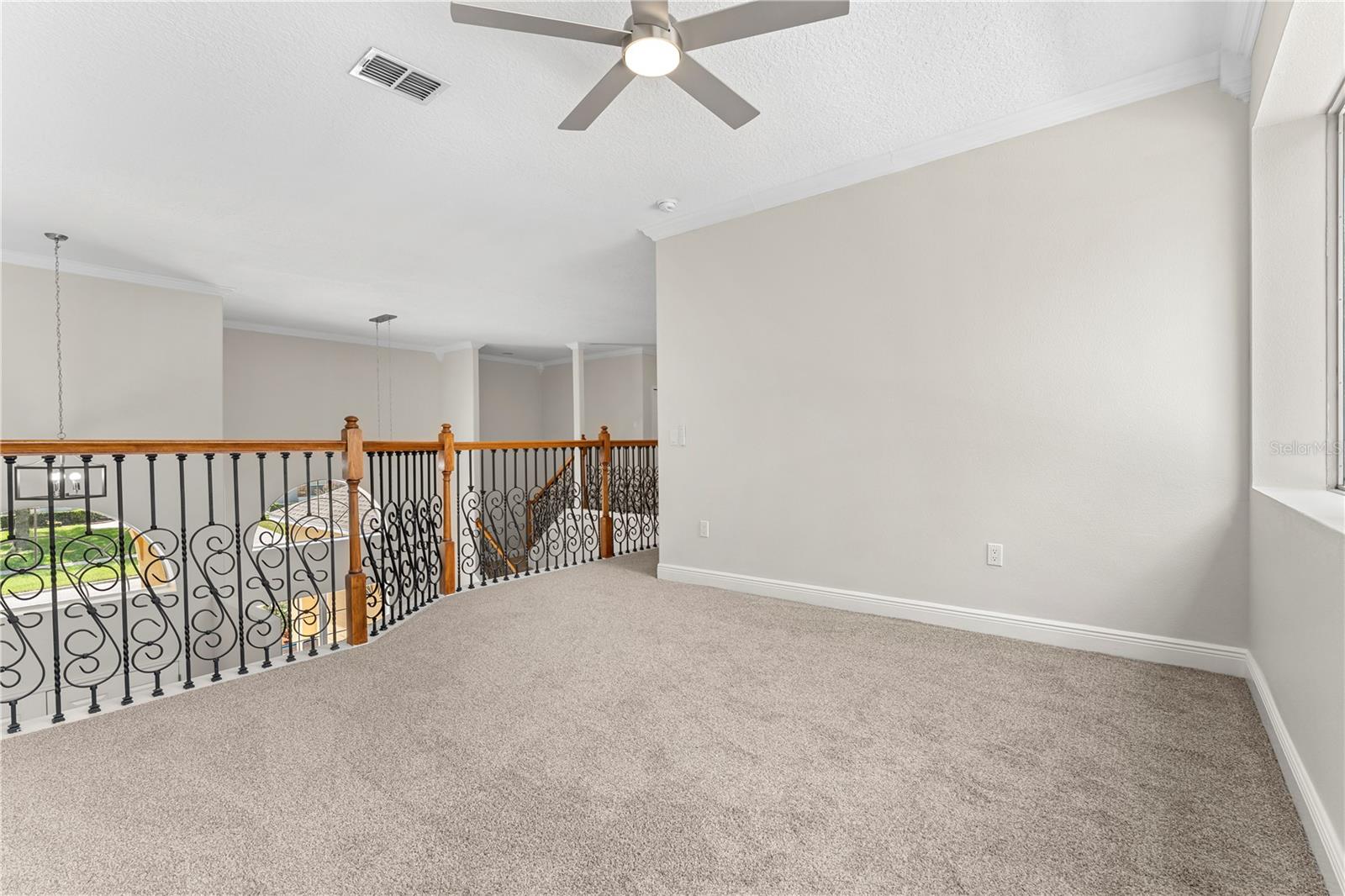 3542 Wind River Run Property Photo 22