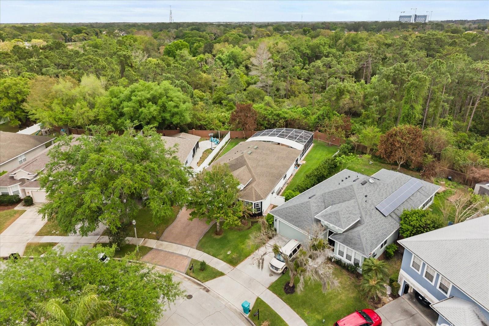 10180 Cypress Vine Dr Property Photo 27
