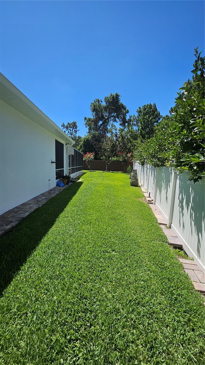 10180 Cypress Vine Dr Property Photo 39