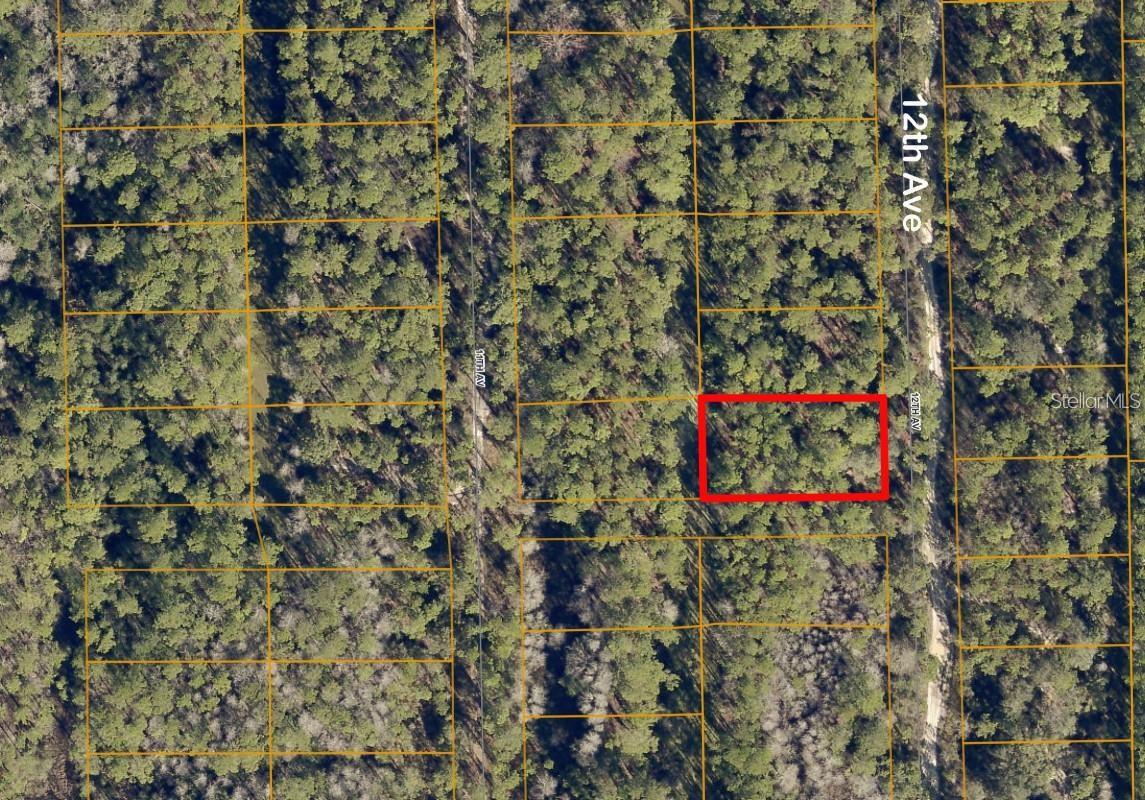 Lot 139 12th Ave Property Photo 2
