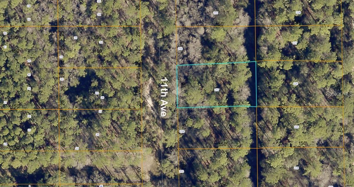 Lot 257 11th Ave Property Photo 2