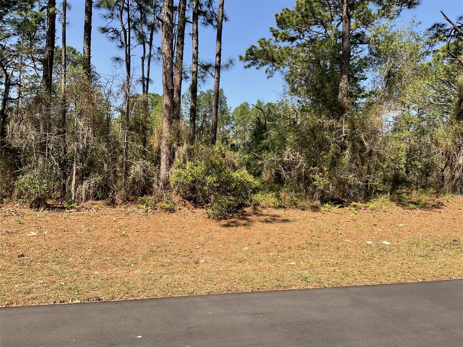 Undetermined Property Photo 1