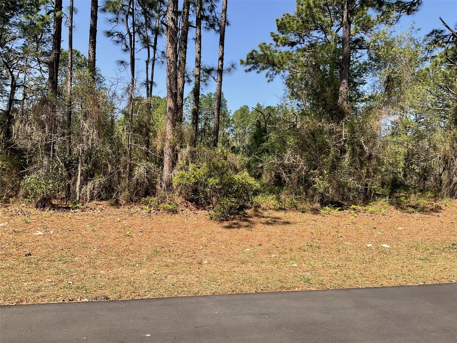 Undetermined Property Photo 2