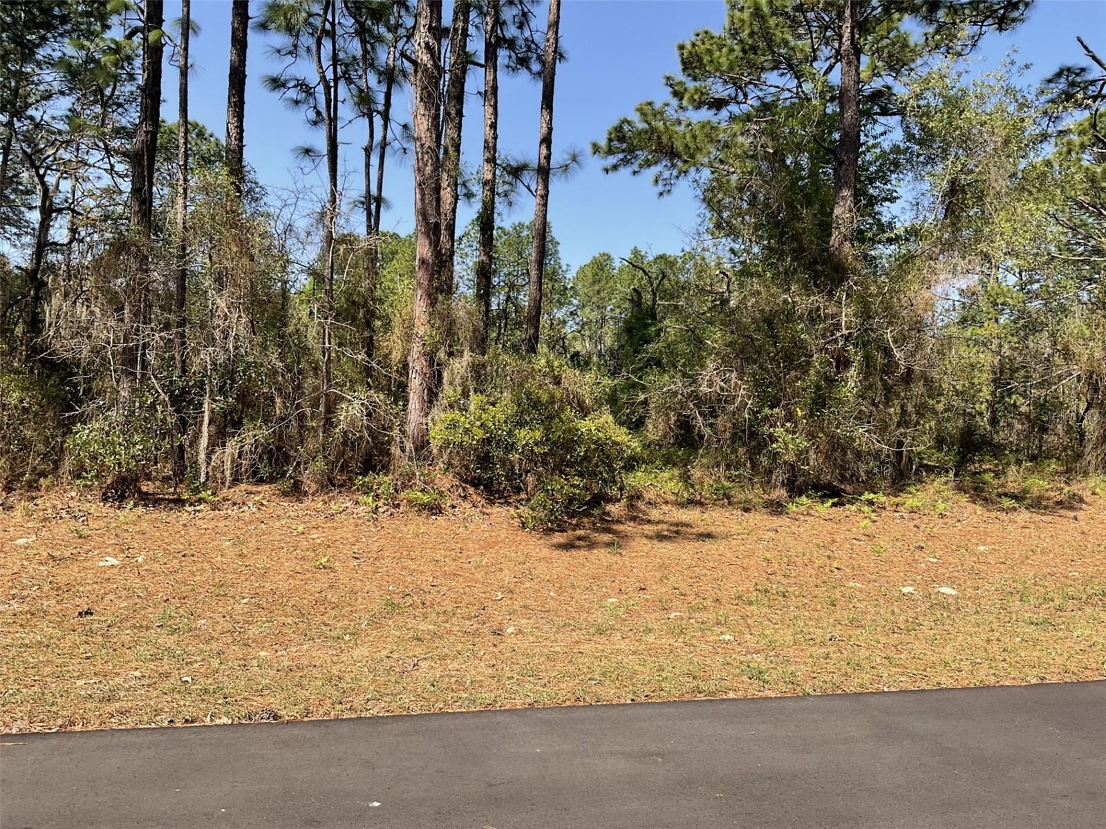 Undetermined Property Photo 3