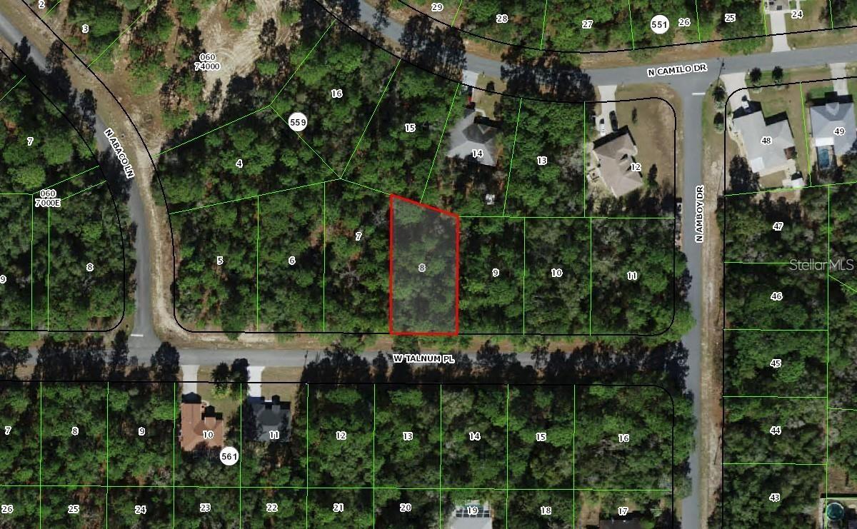 3231 W Talinum Pl Property Photo 1