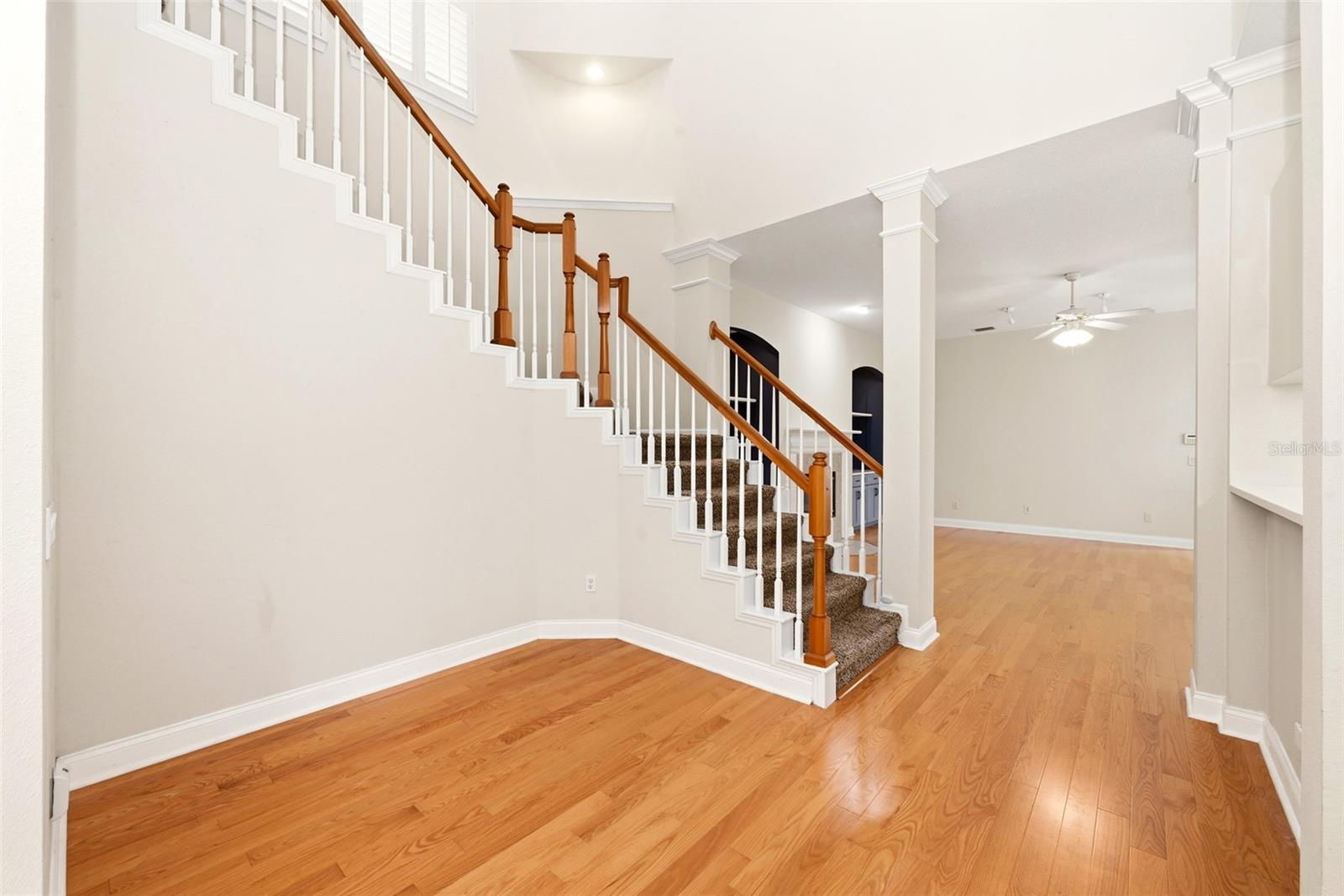 1110 Rush Ct Property Photo 30