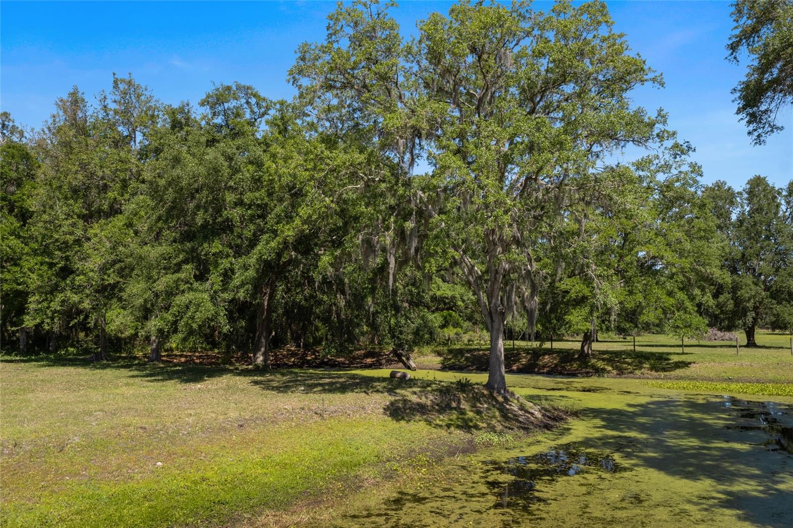 11902 Cr 727 Property Photo 24