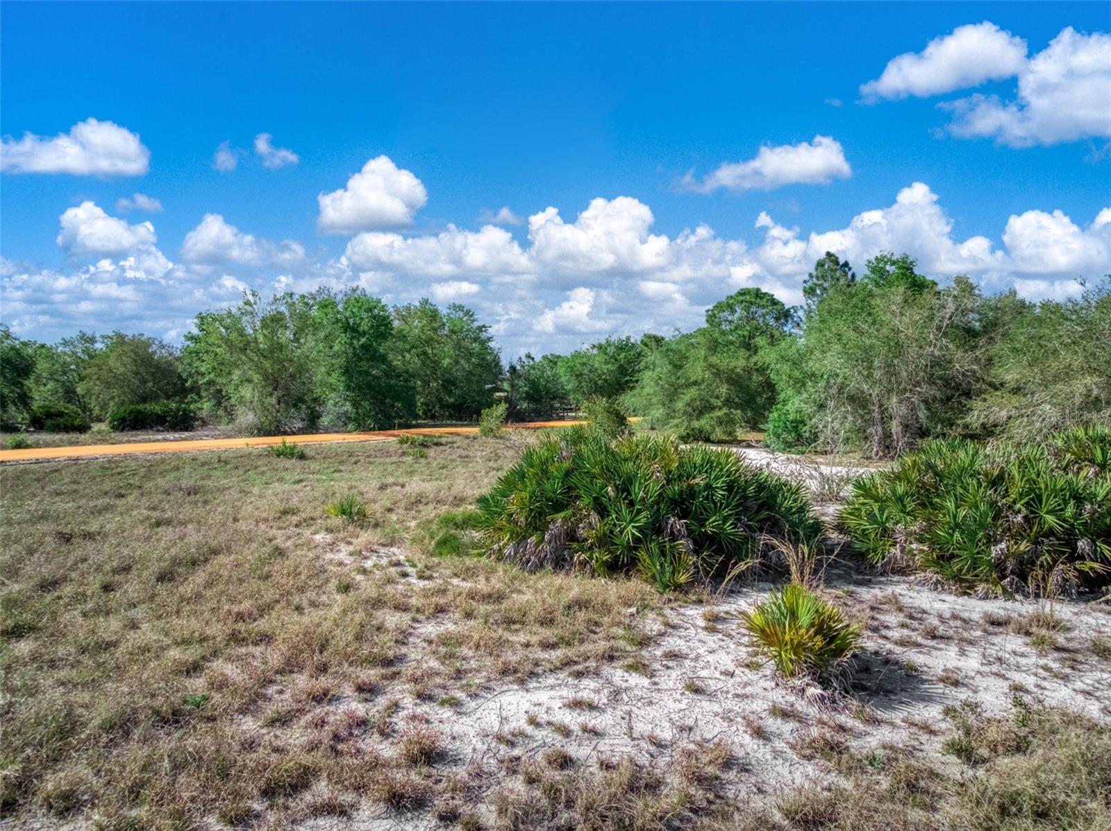 523 S Dickey Rd Property Photo 8