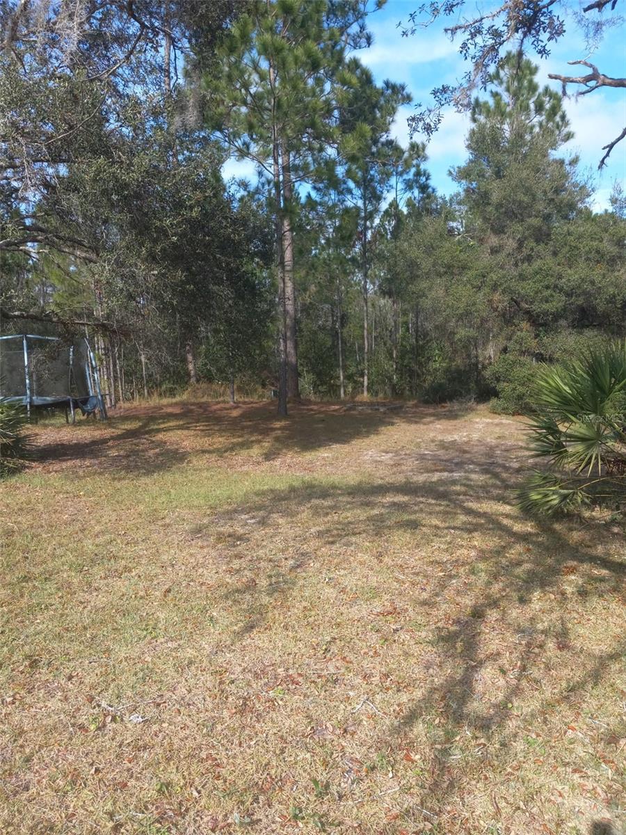 2477 Thacker Trl Property Photo 56