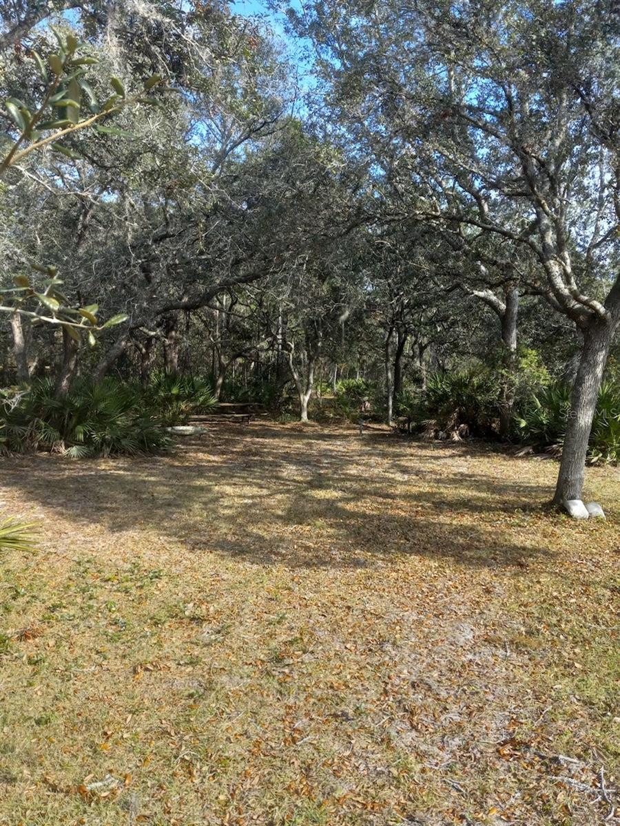 2477 Thacker Trl Property Photo 57