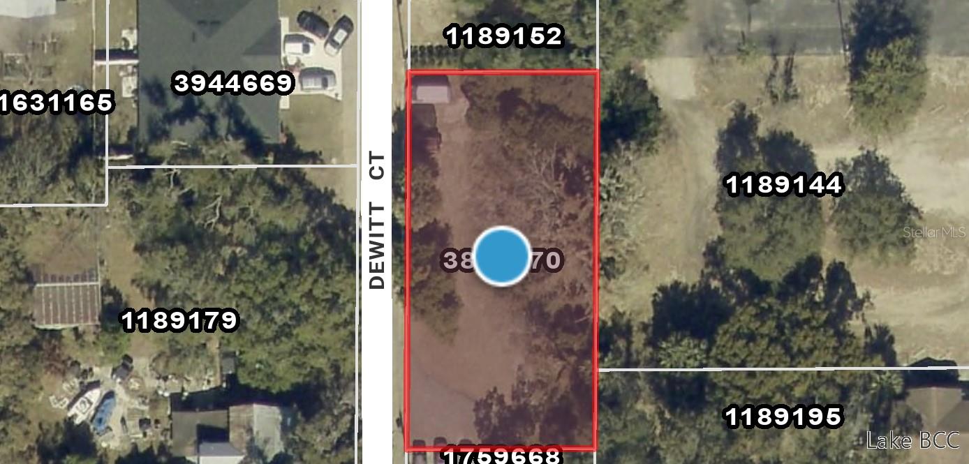 Dewitt Ct Property Photo 3