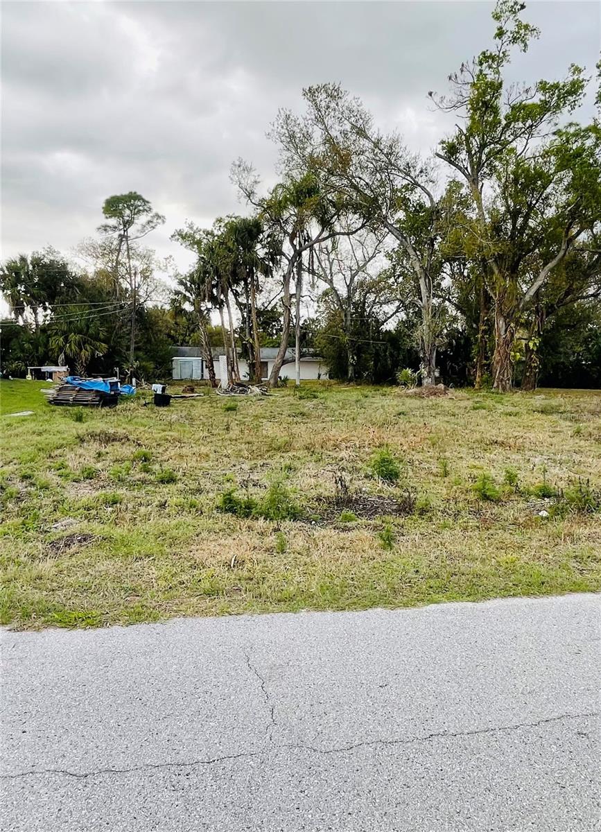 1365 Nimrod St Property Photo 1
