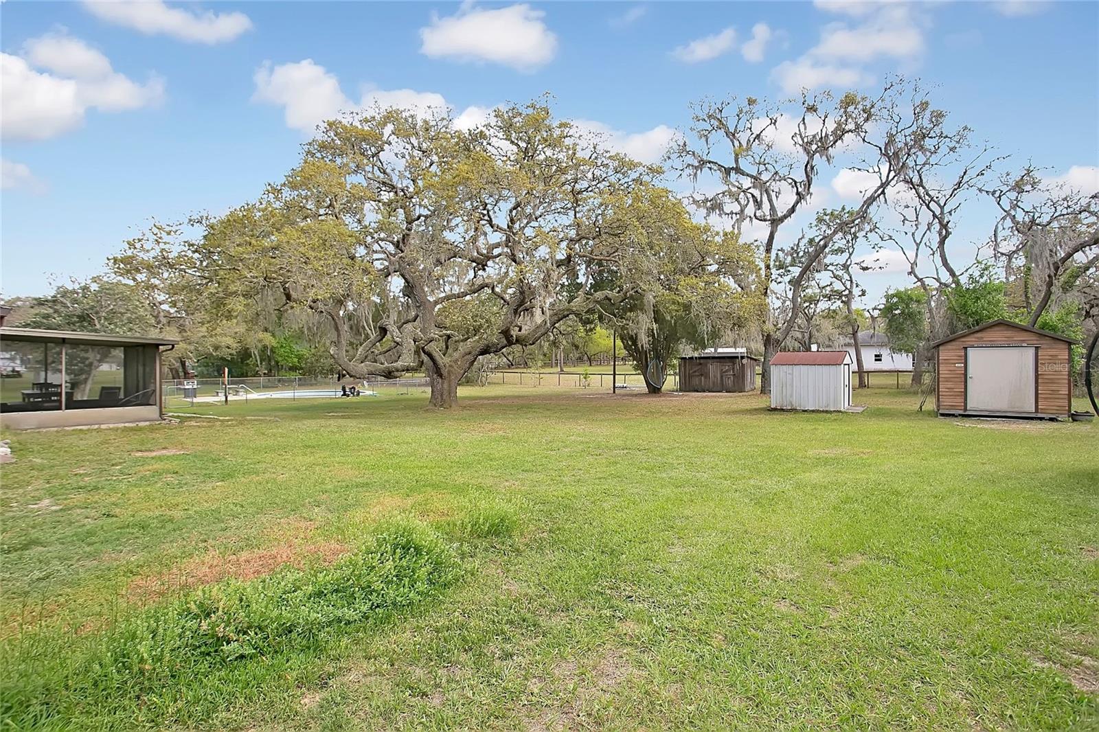 3116 E Buck Property Photo 17