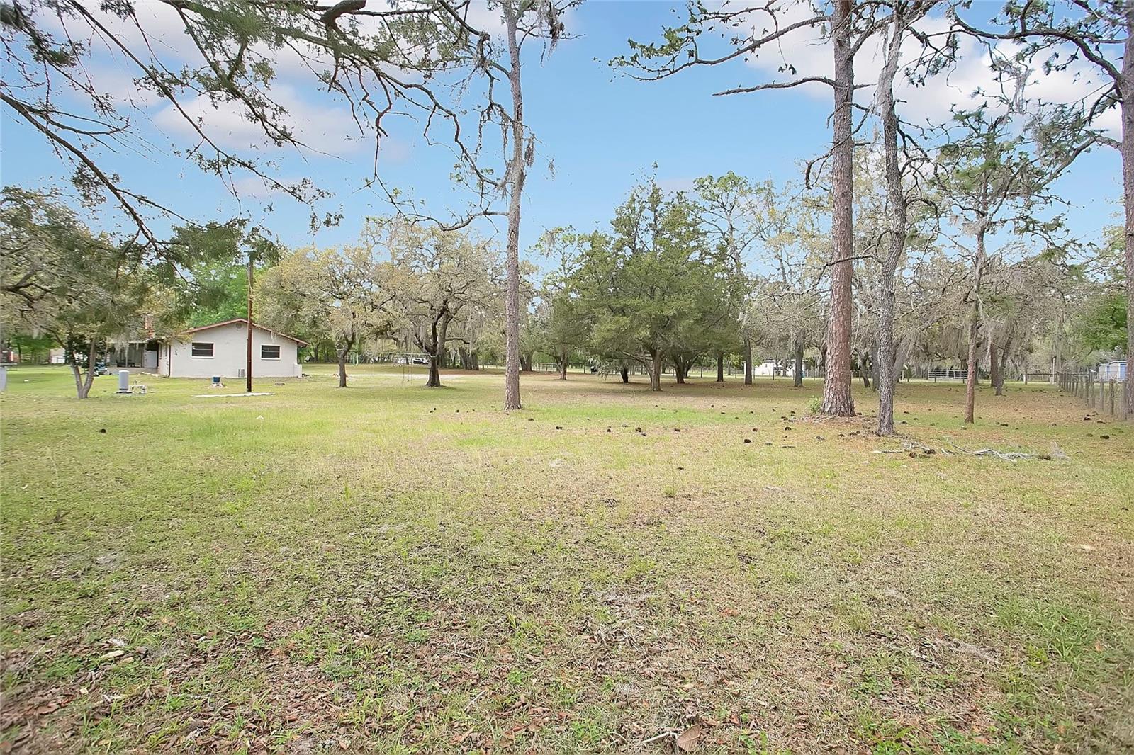 3116 E Buck Property Photo 19