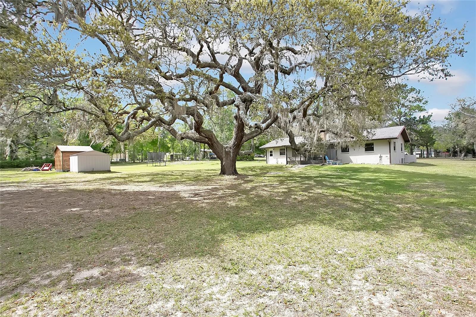 3116 E Buck Property Photo 21