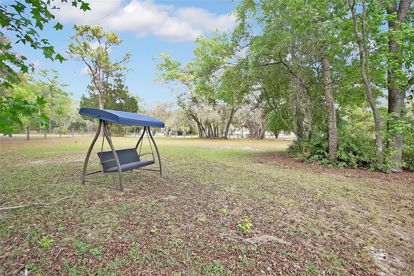3116 E Buck Property Photo 24