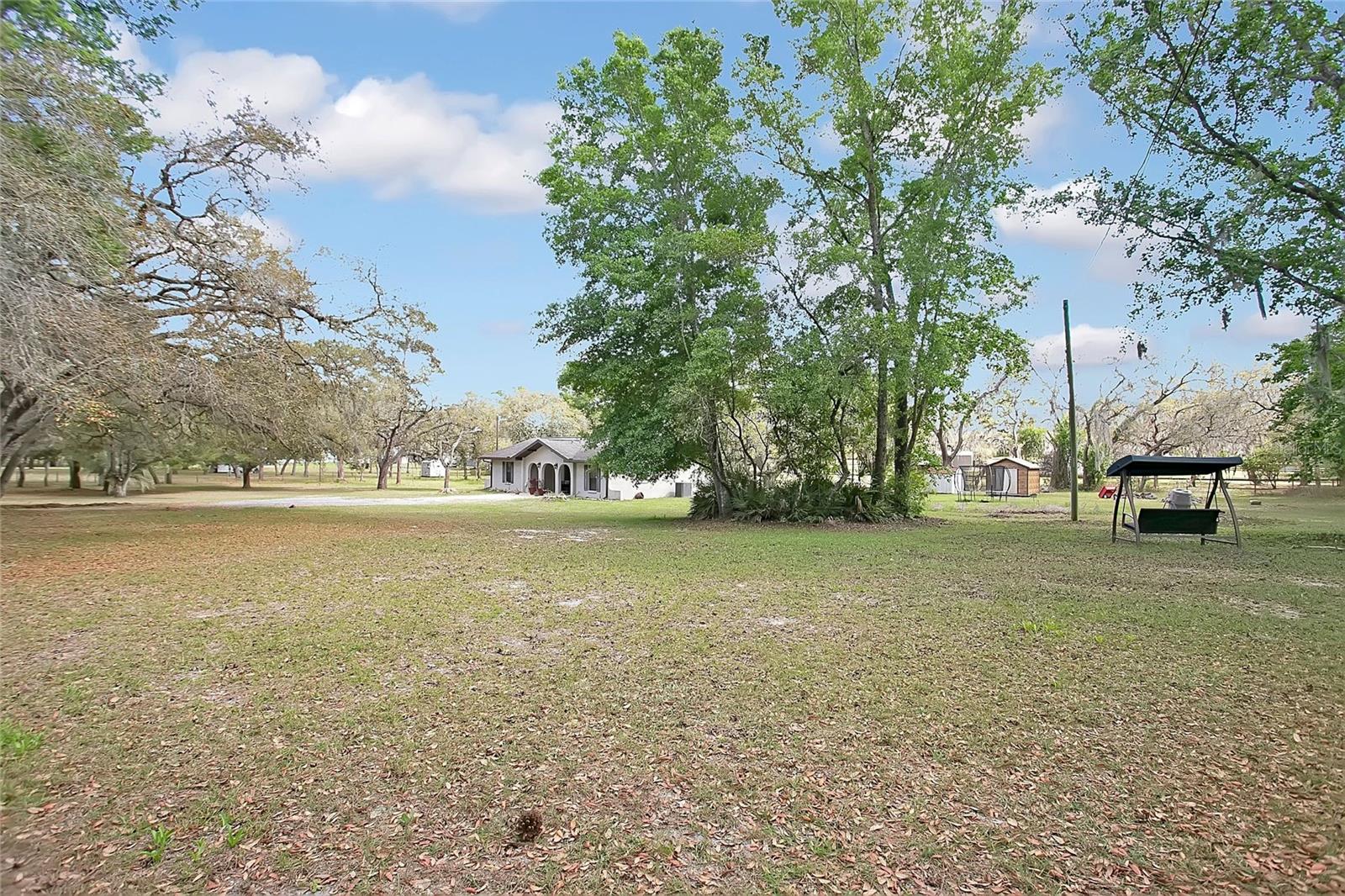 3116 E Buck Property Photo 25