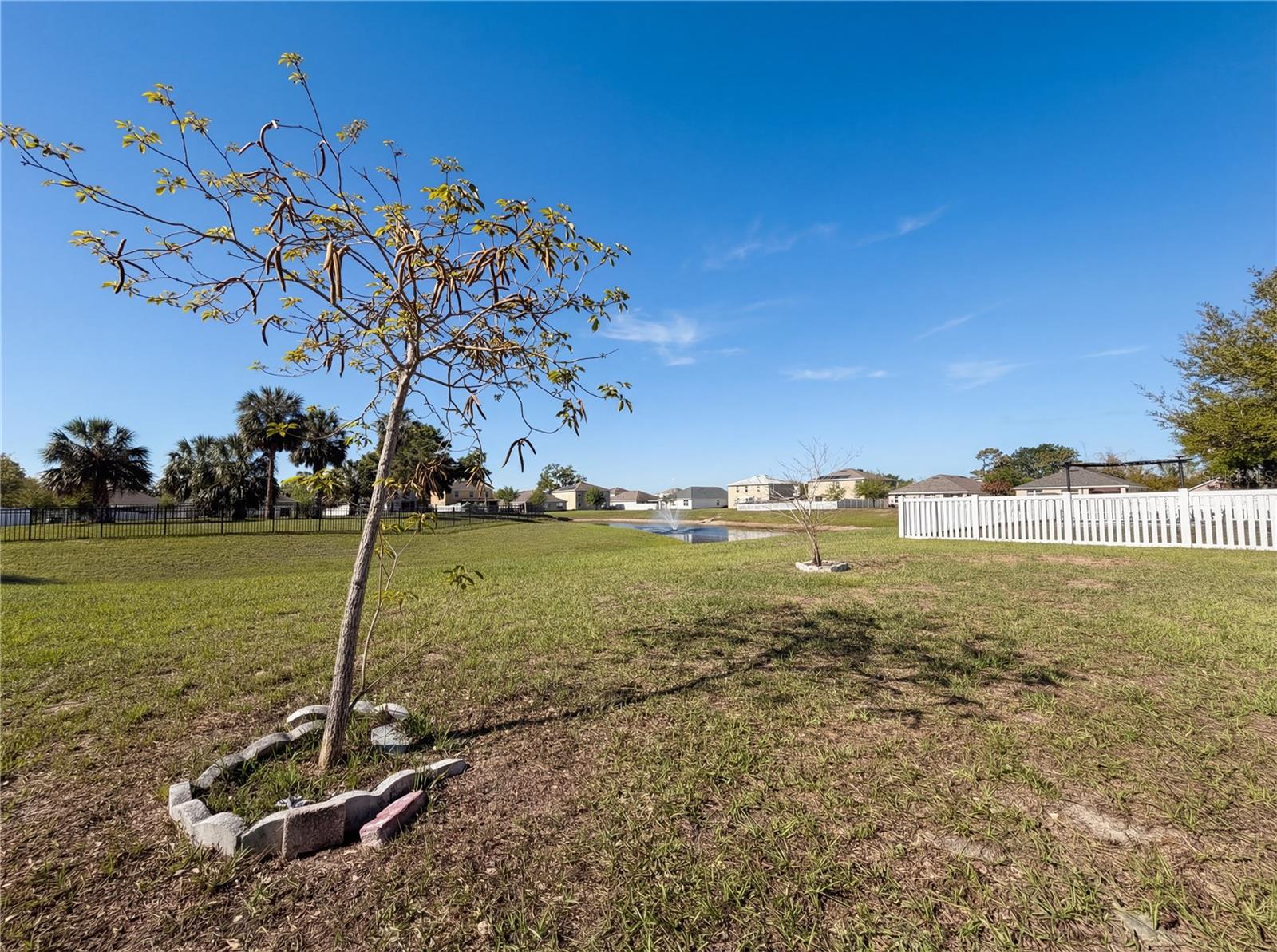 11835 Myrtle Rock Dr Property Photo 26