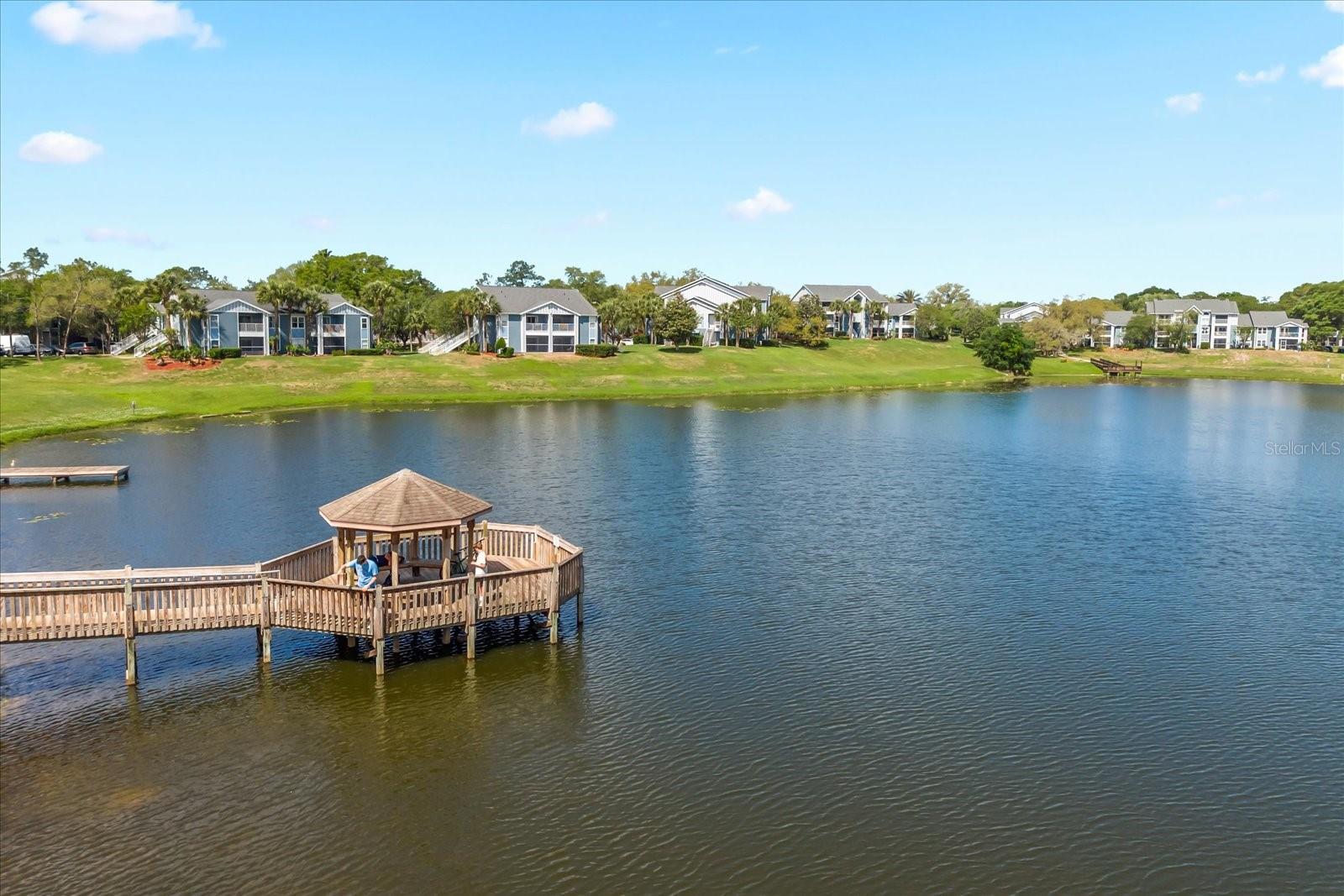 2501 Grassy Point Dr #103 Property Photo 8