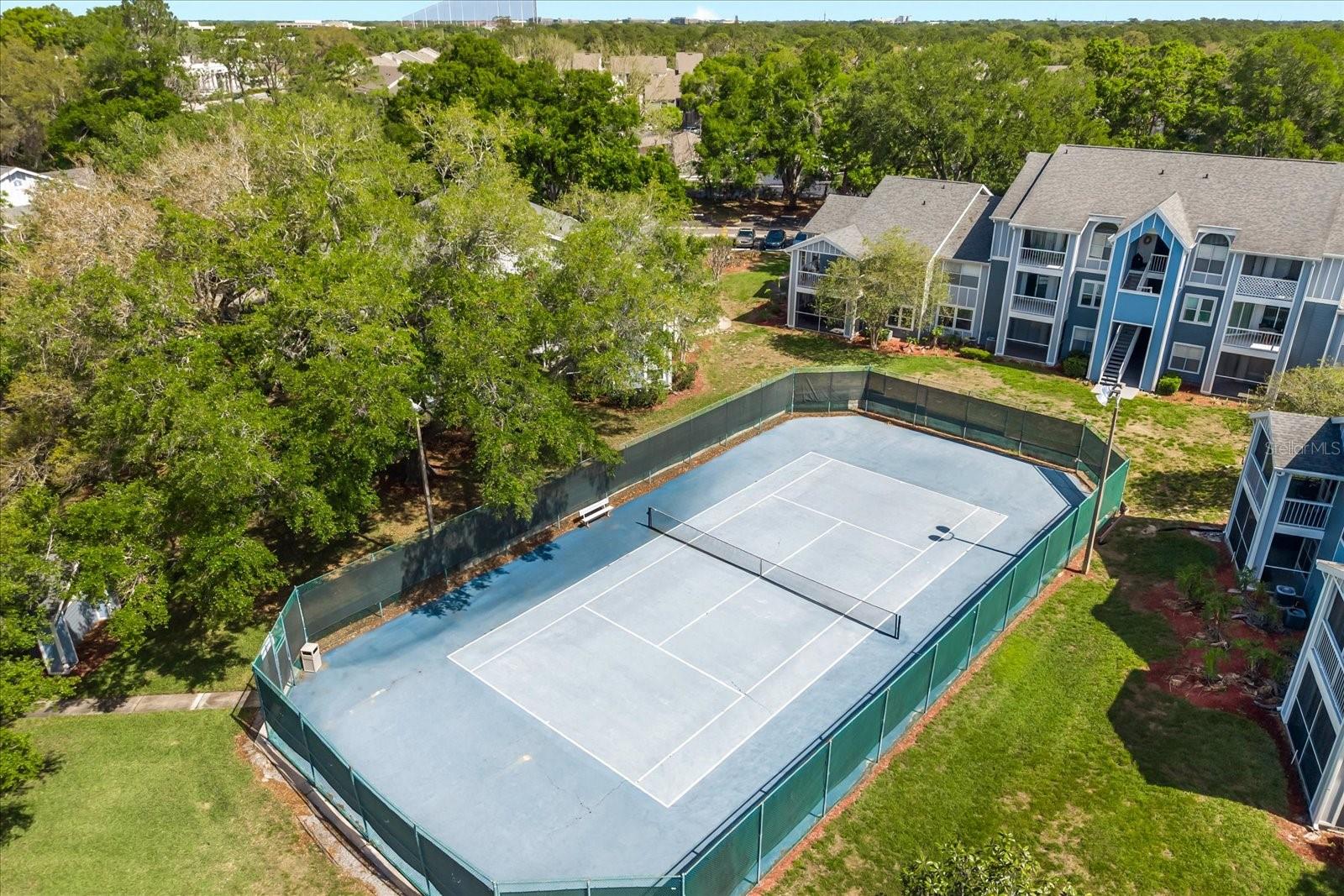 2501 Grassy Point Dr #103 Property Photo 35