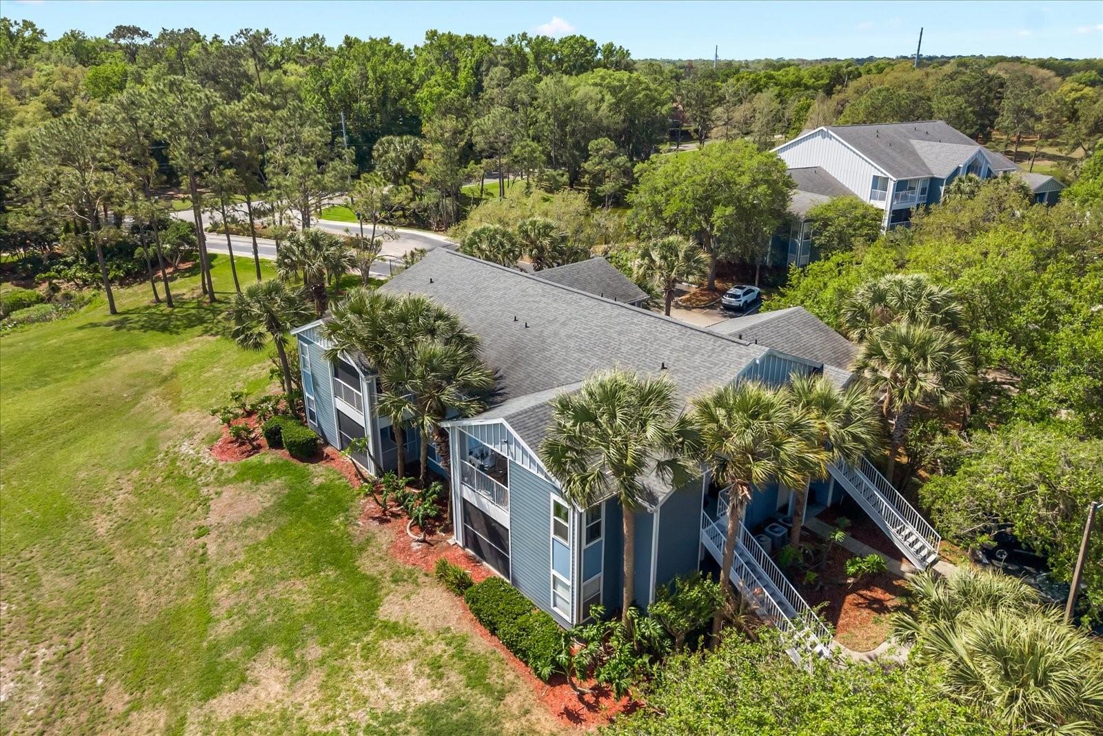 2501 Grassy Point Dr #103 Property Photo 41