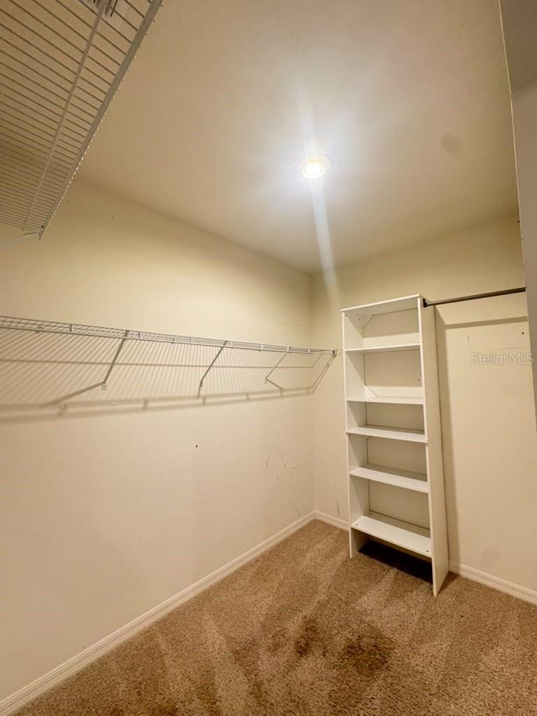 329 Winged Elm Dr Property Photo 20