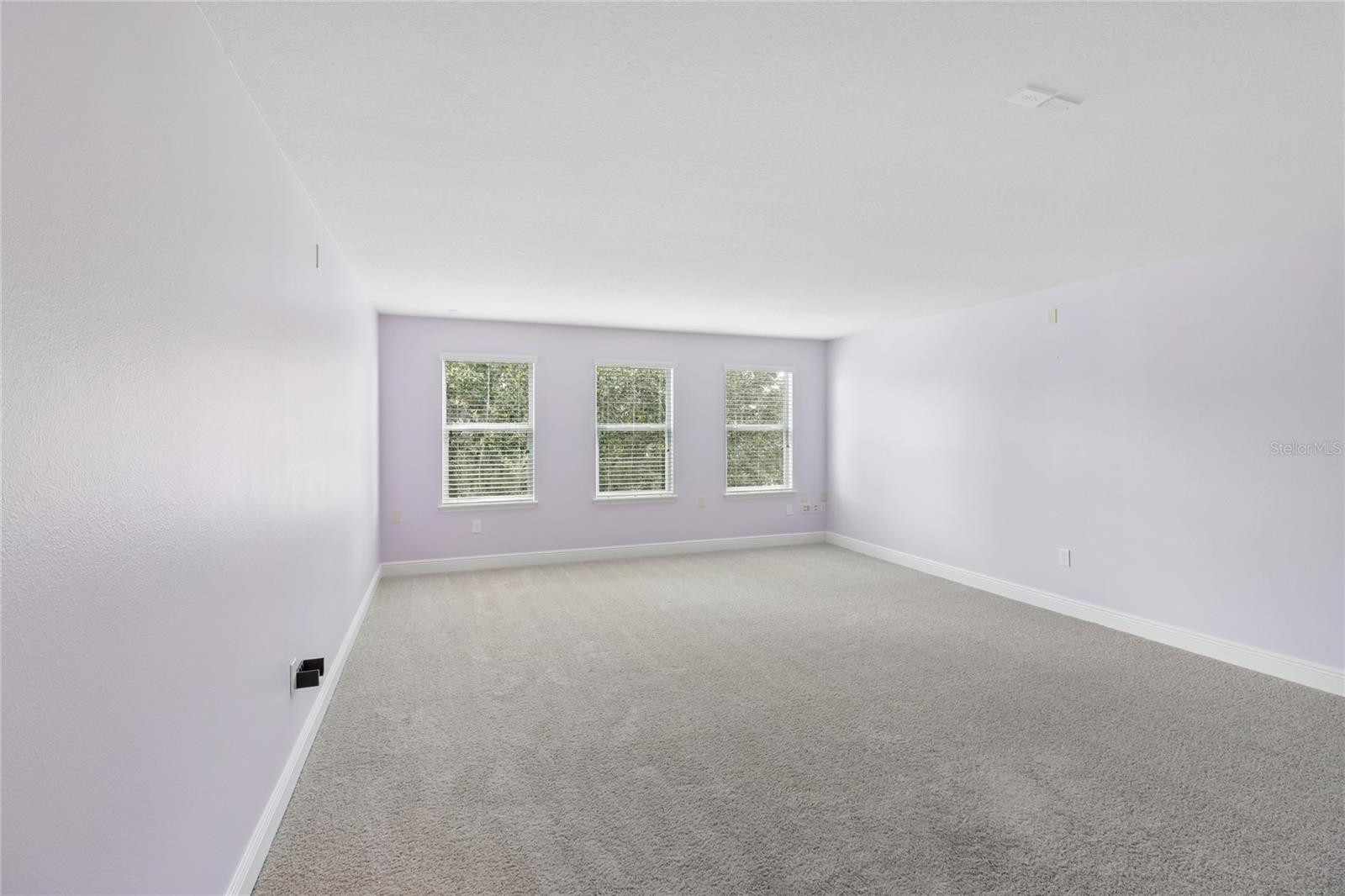 4309 Saltmarsh Sparrow Dr Property Photo 19