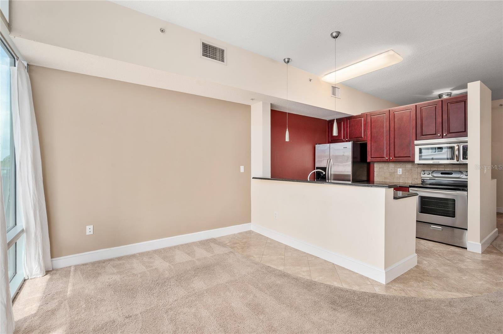101 S Eola Dr #519 Property Photo 13