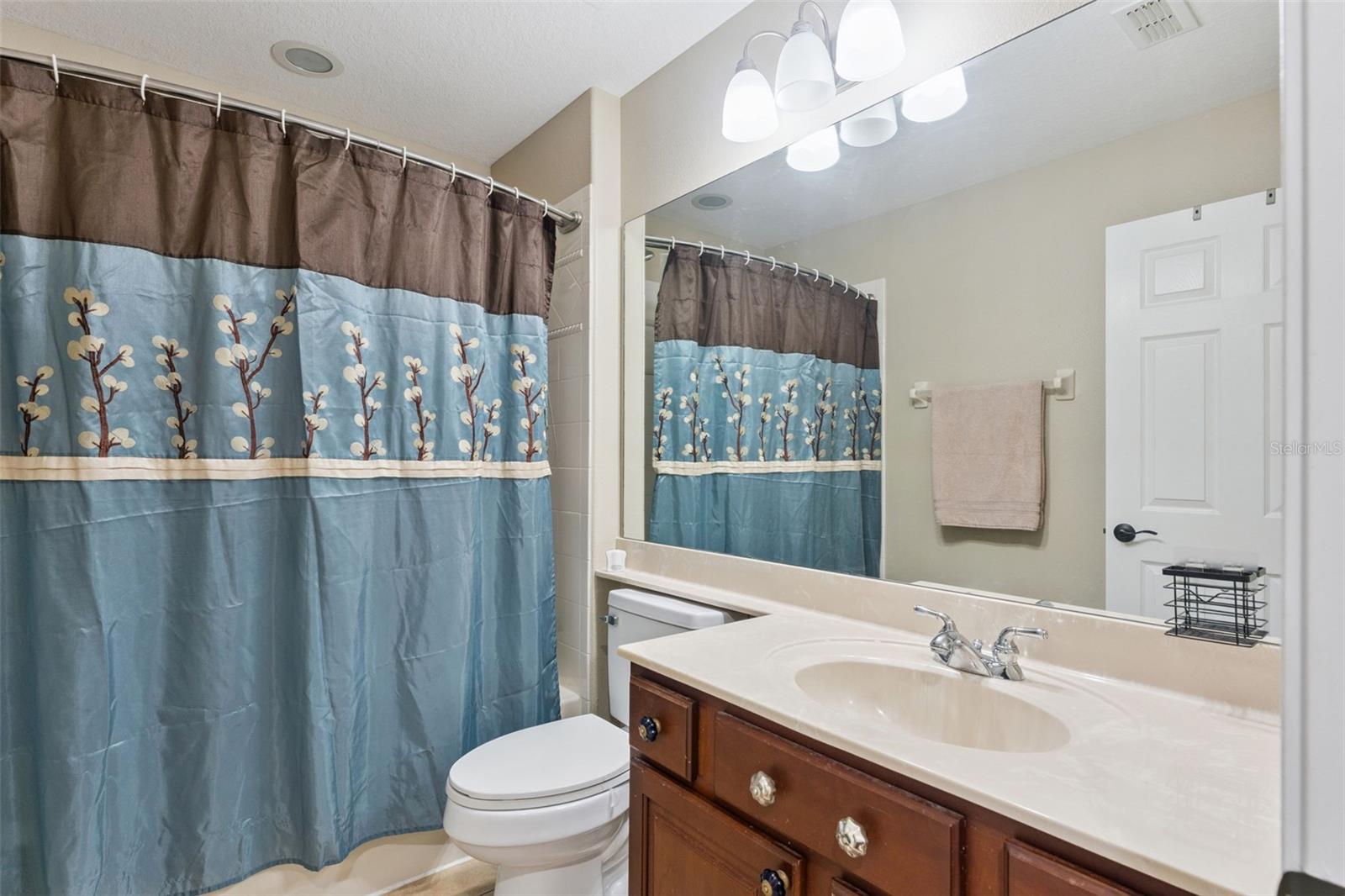 216 Juniper Ridge Ct Property Photo 42