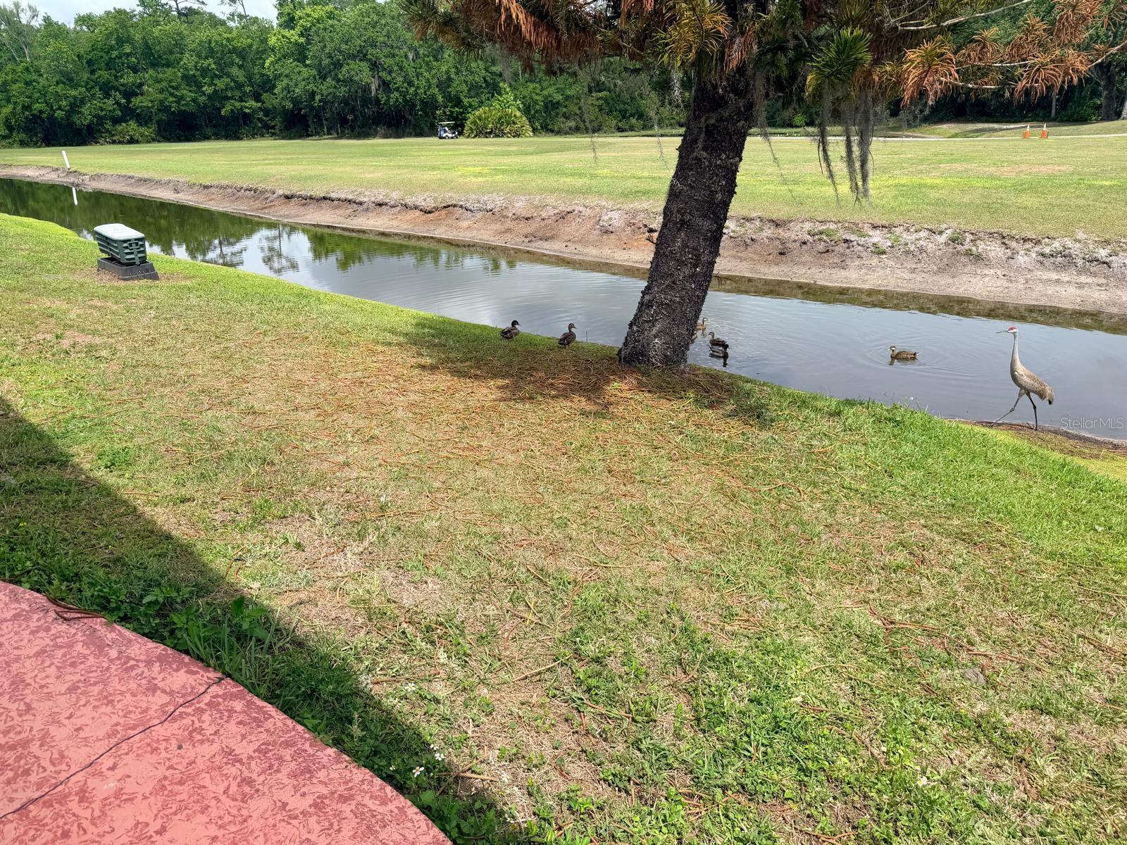 2173 Pebble Beach Blvd Property Photo 9