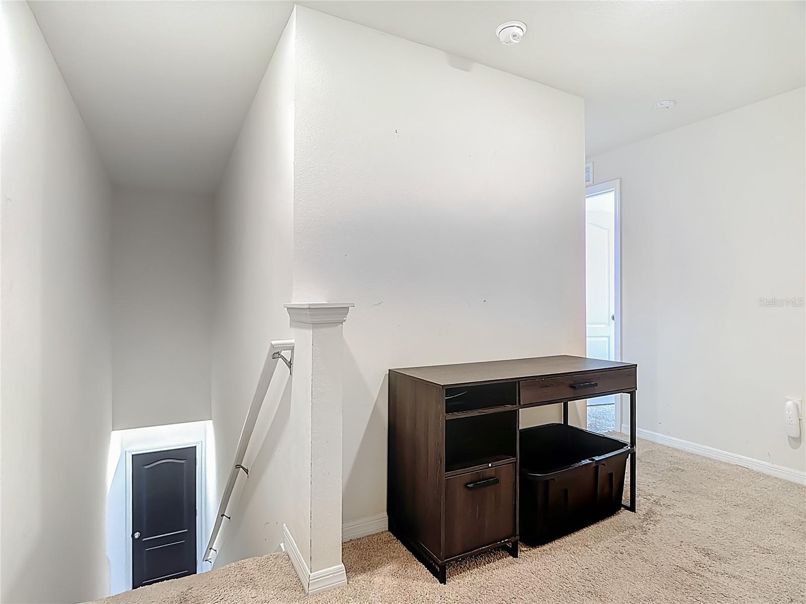 501 Talisi Loop Property Photo 22