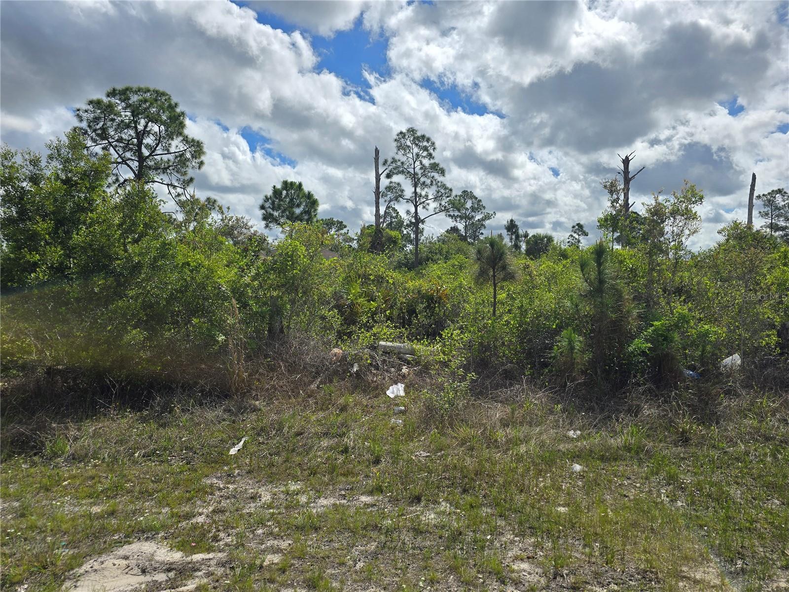 O6396990 Property Photo 1