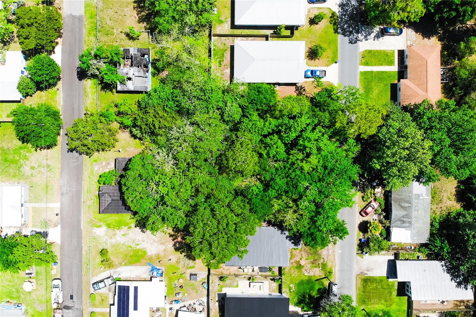 1028 Collier Blvd Property Photo 1