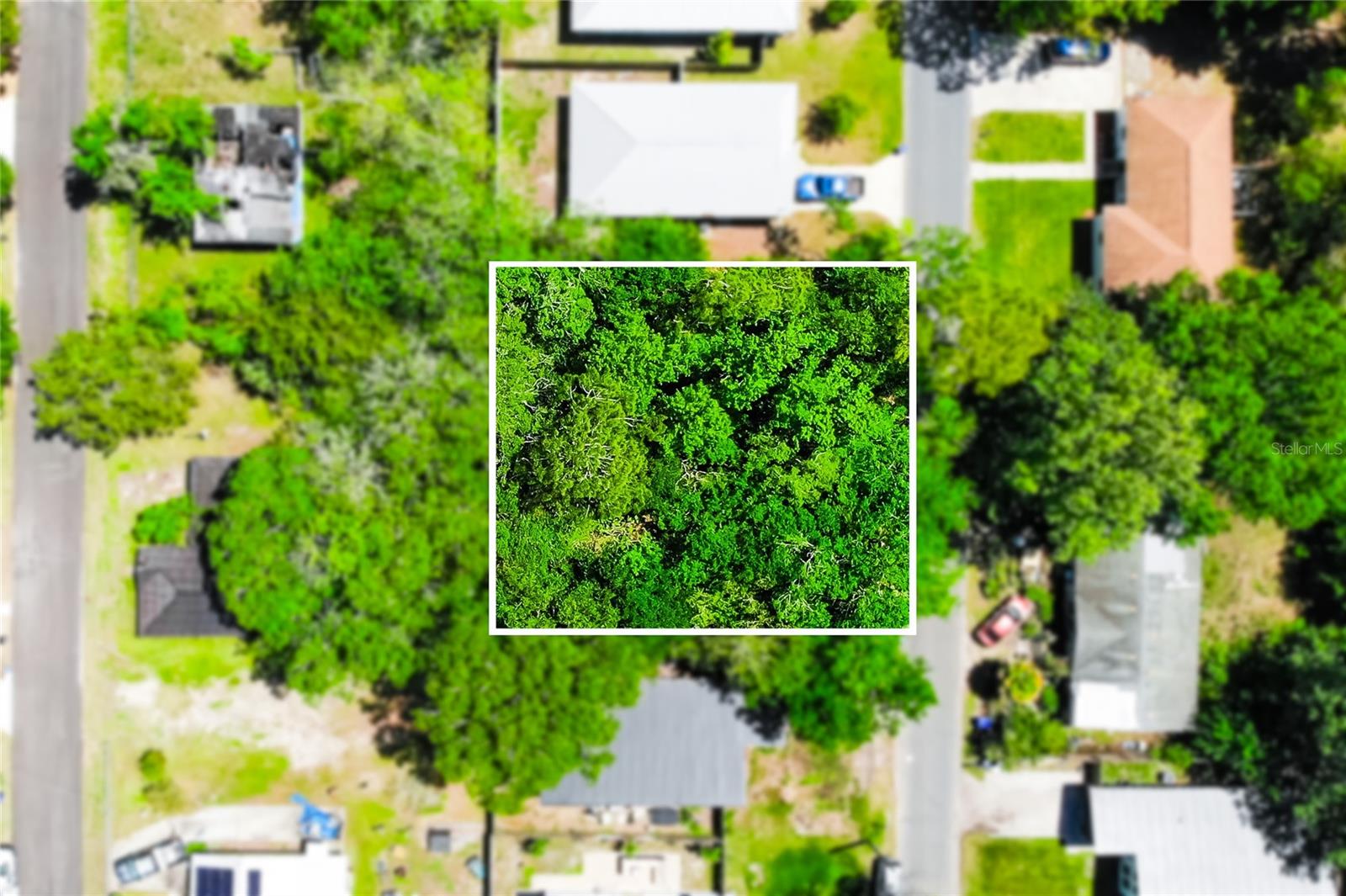 1028 Collier Blvd Property Photo 2