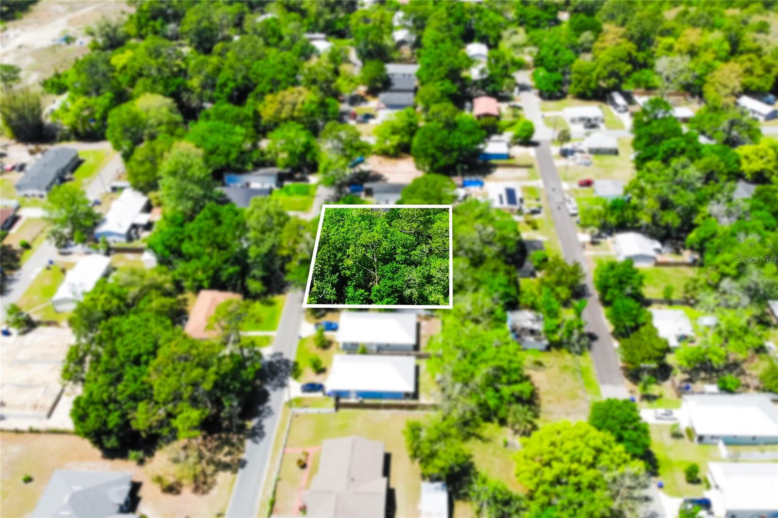 1028 Collier Blvd Property Photo 5