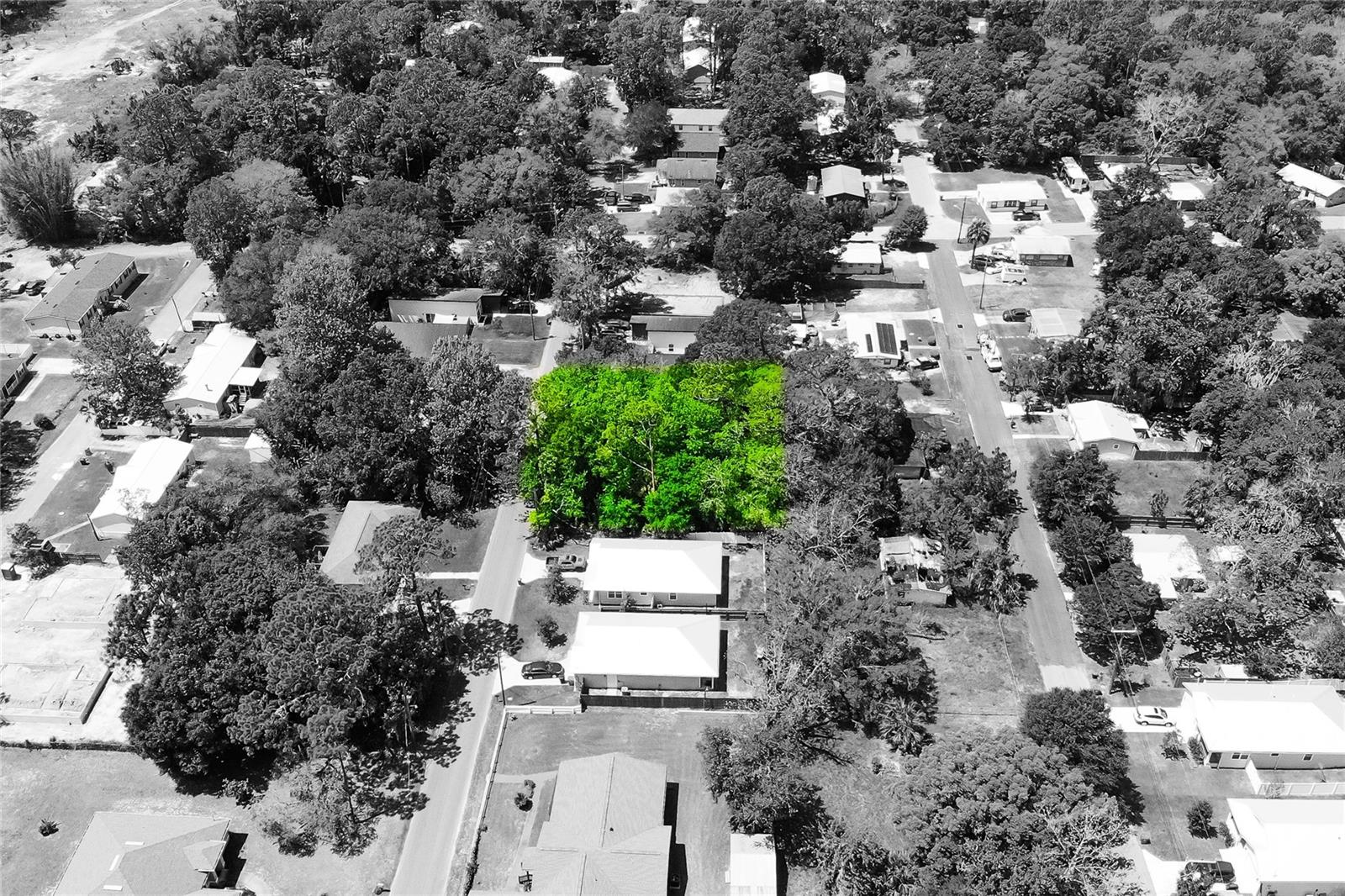 1028 Collier Blvd Property Photo 6
