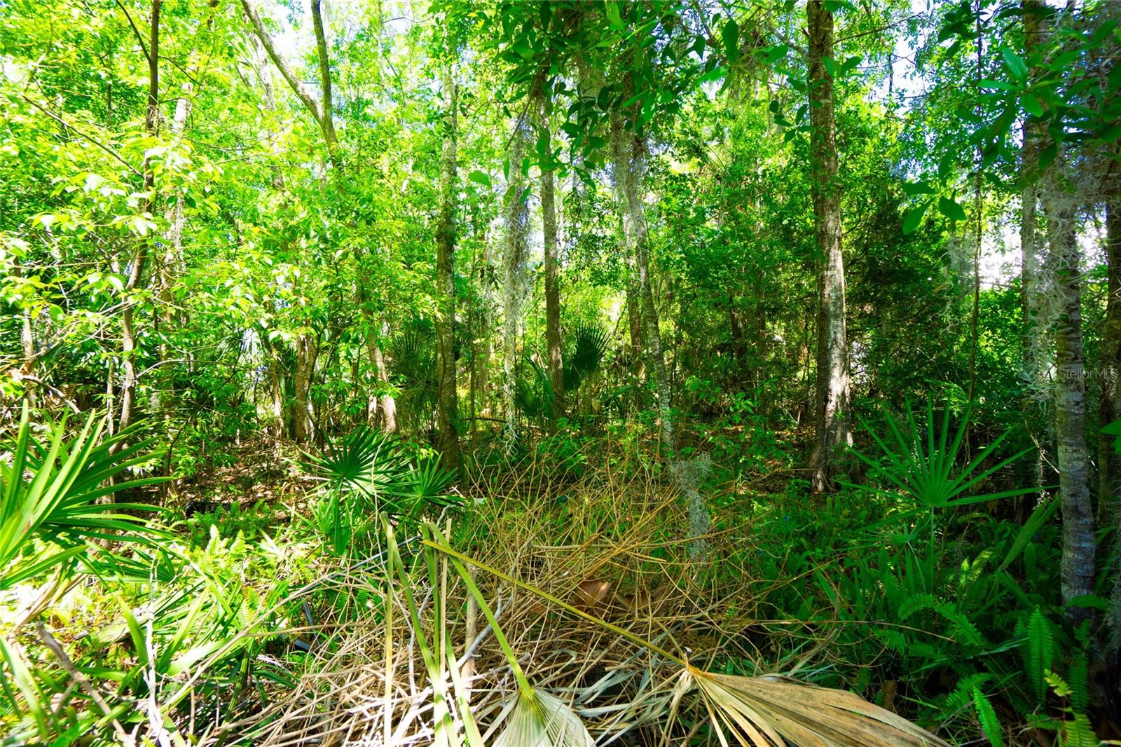 1028 Collier Blvd Property Photo 18