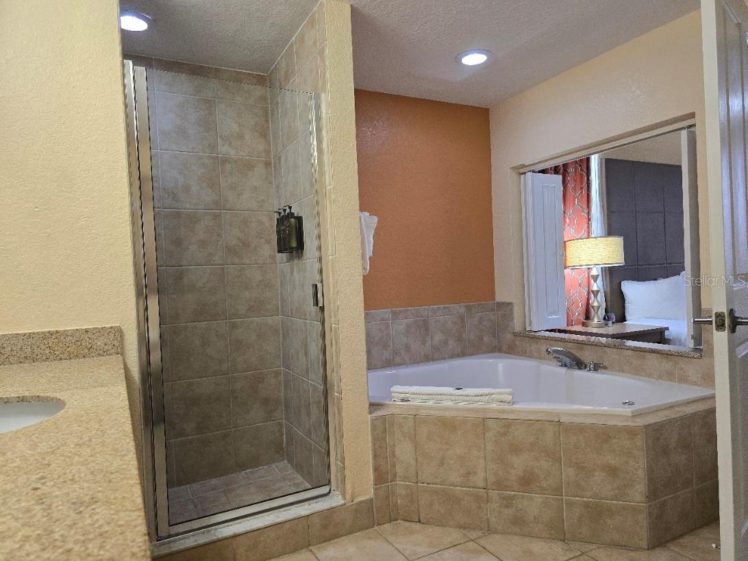 12556 Floridays Resort Dr #a-201 Property Photo 11