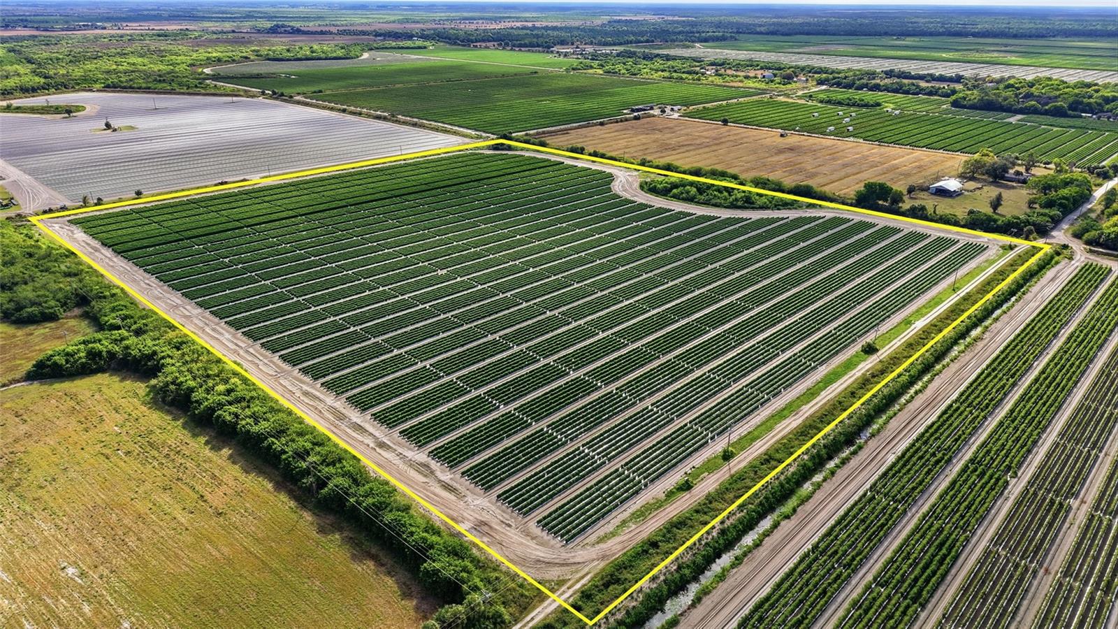 6150 PRINGLE LN