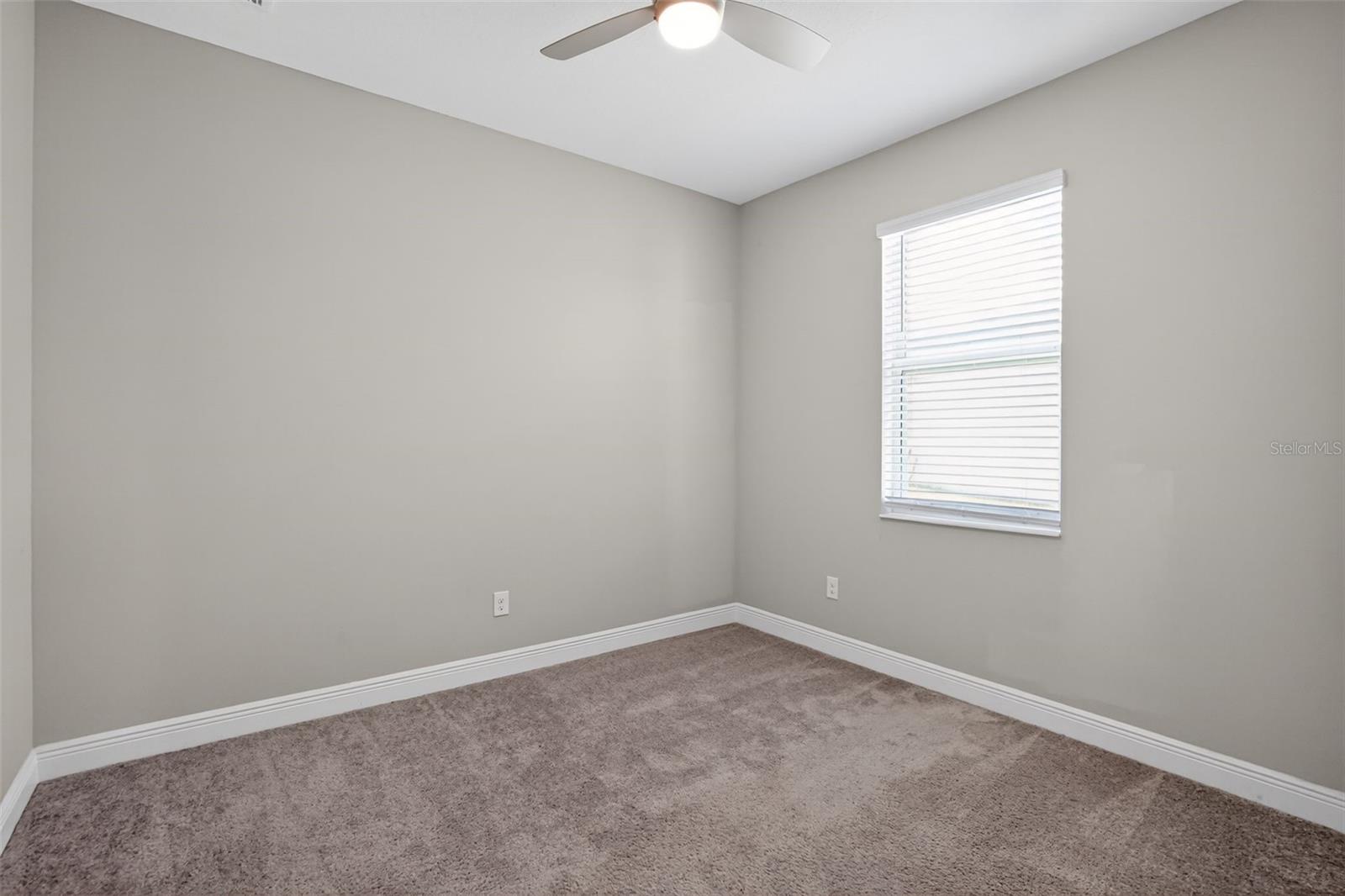 8131 Tea Olive Ter Property Photo 9