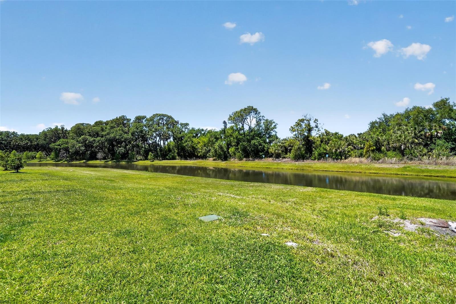 8131 Tea Olive Ter Property Photo 25