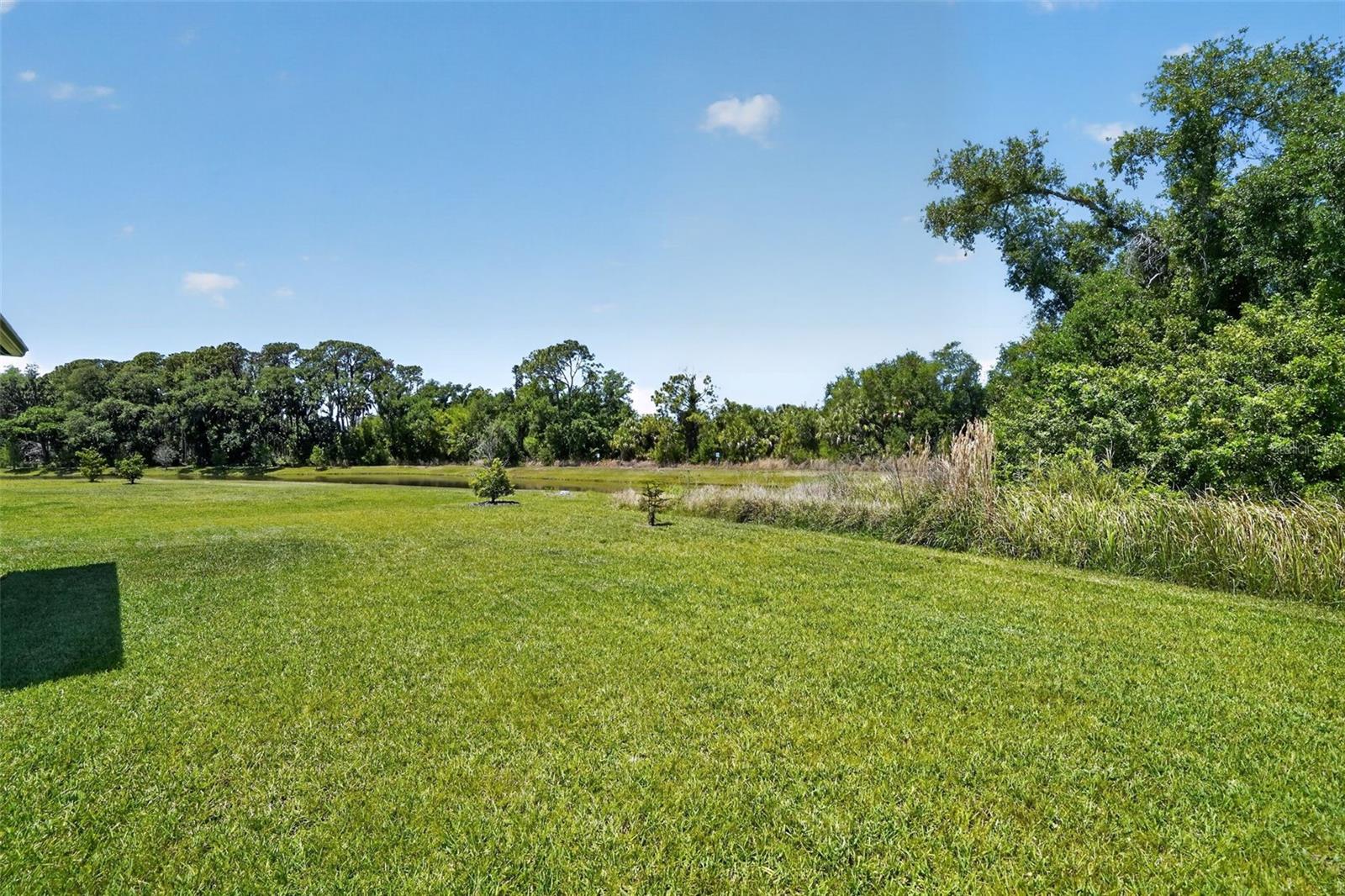 8131 Tea Olive Ter Property Photo 26