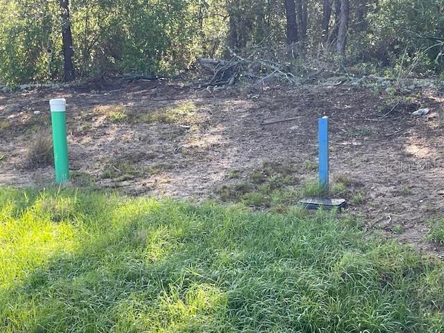 1318 HOMOSASSA DR Property Photo 1