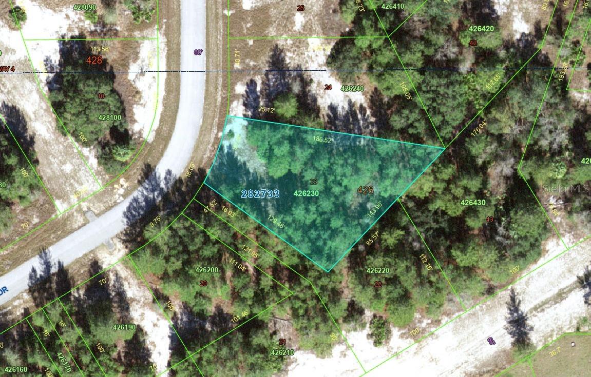 1318 Homosassa Dr Property Photo 2