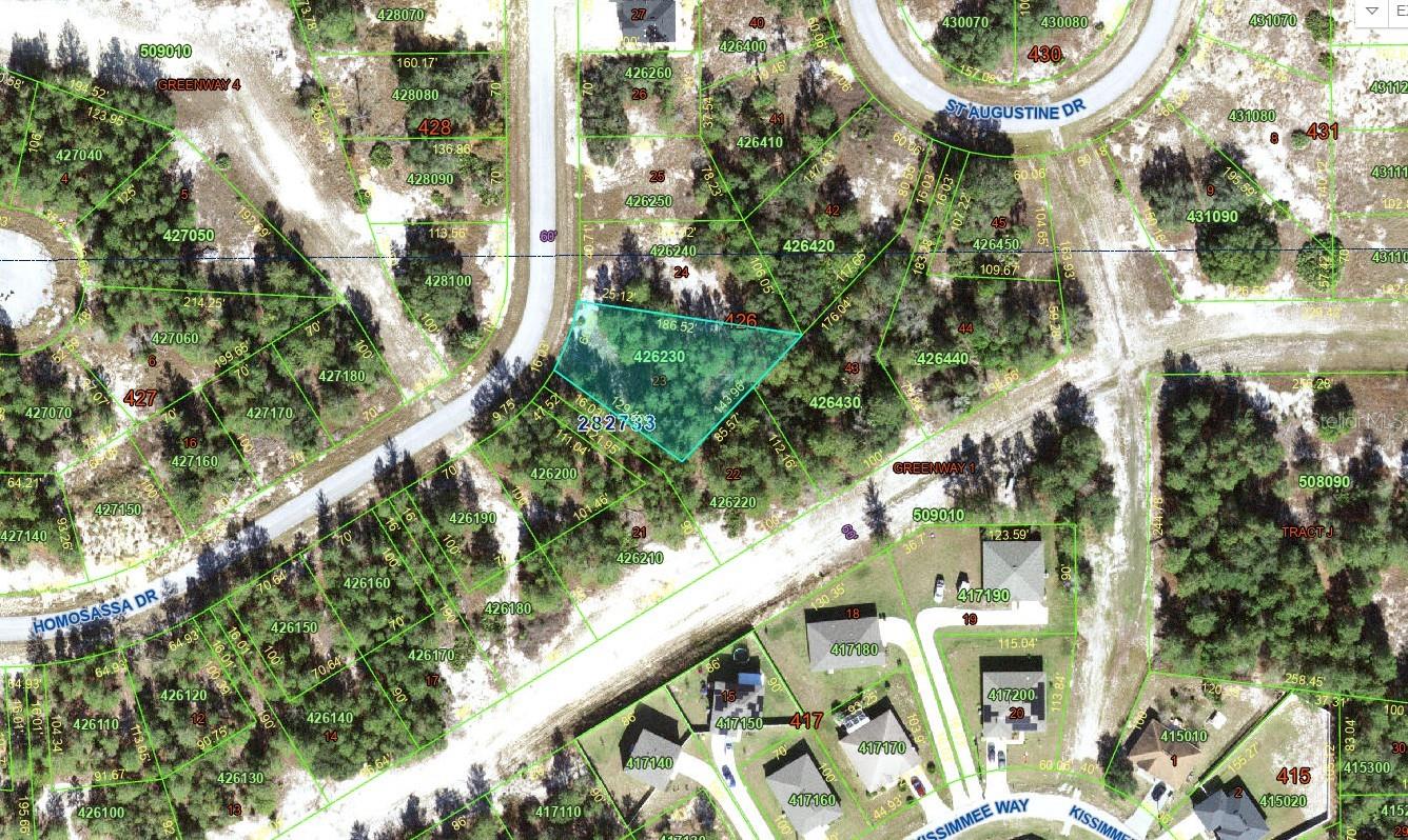 1318 Homosassa Dr Property Photo 6