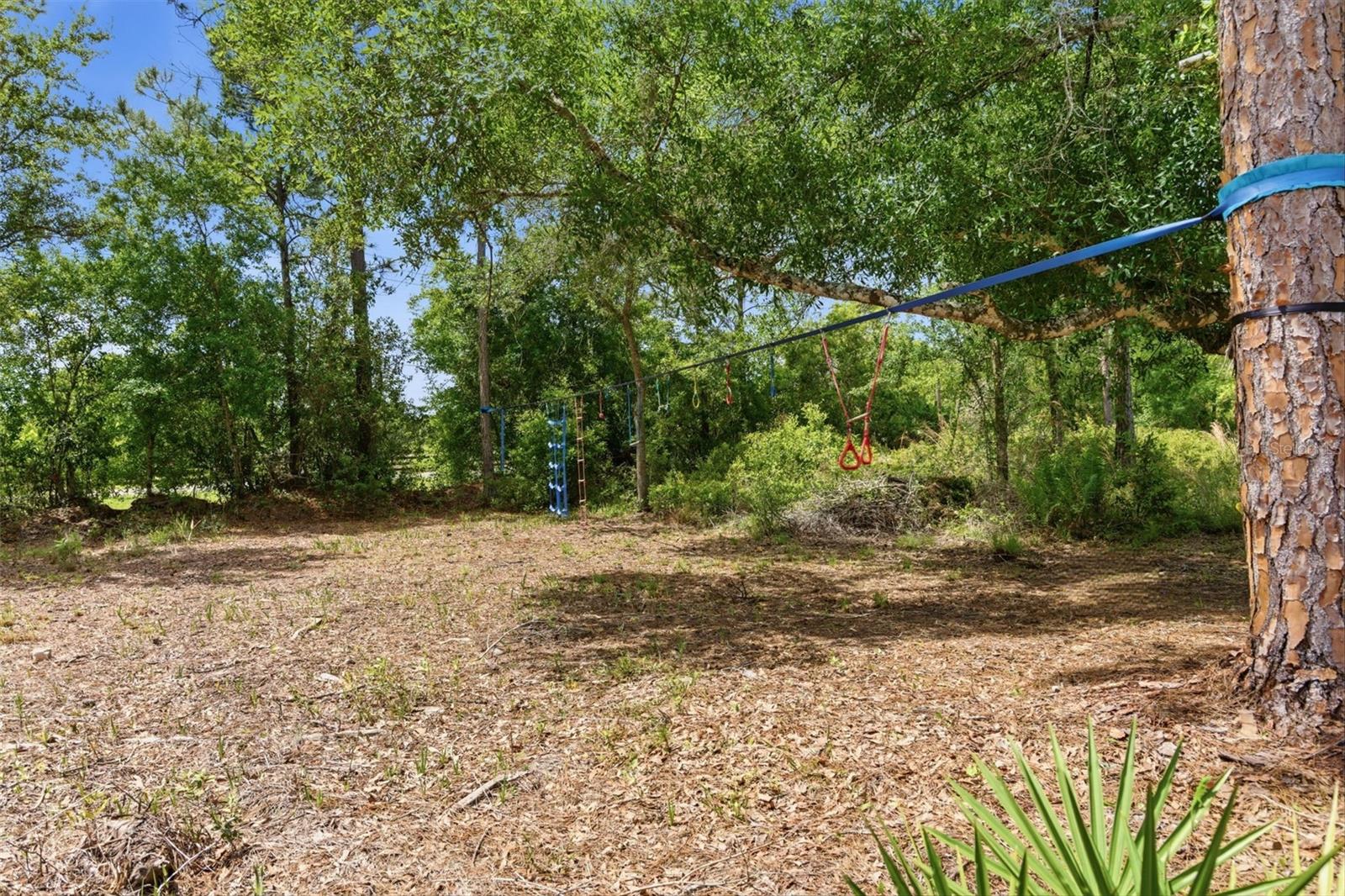 4529 Caesar Ave Property Photo 56
