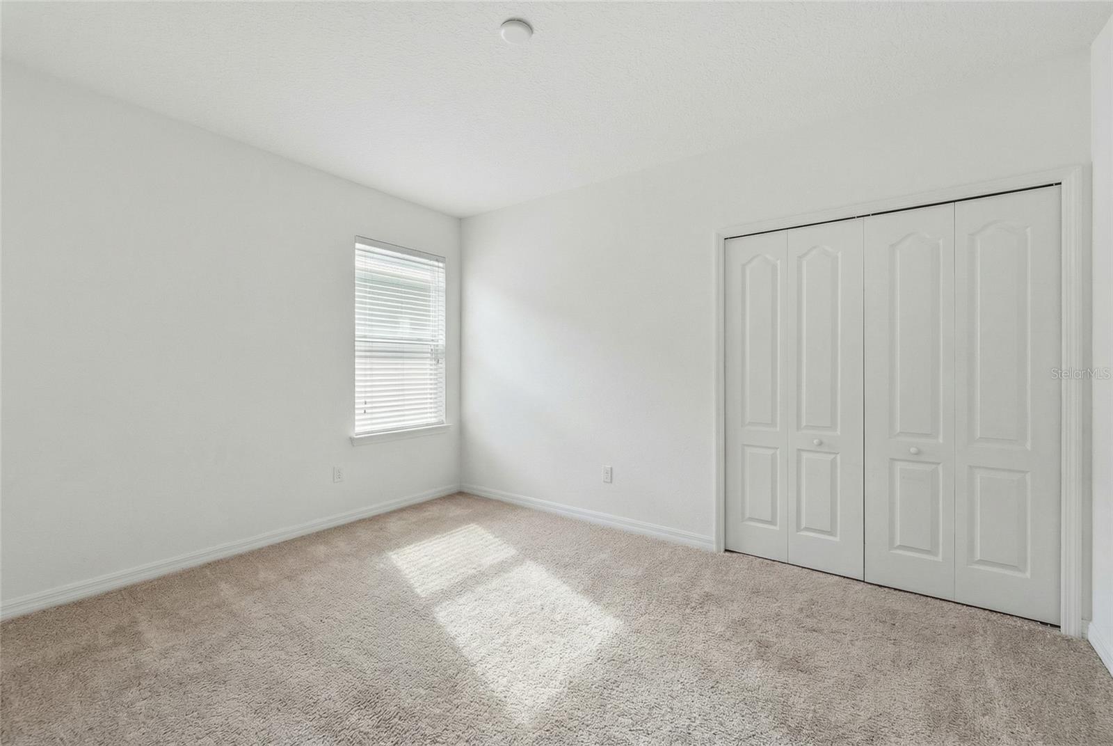 186 Flatwoods Loop Property Photo 22