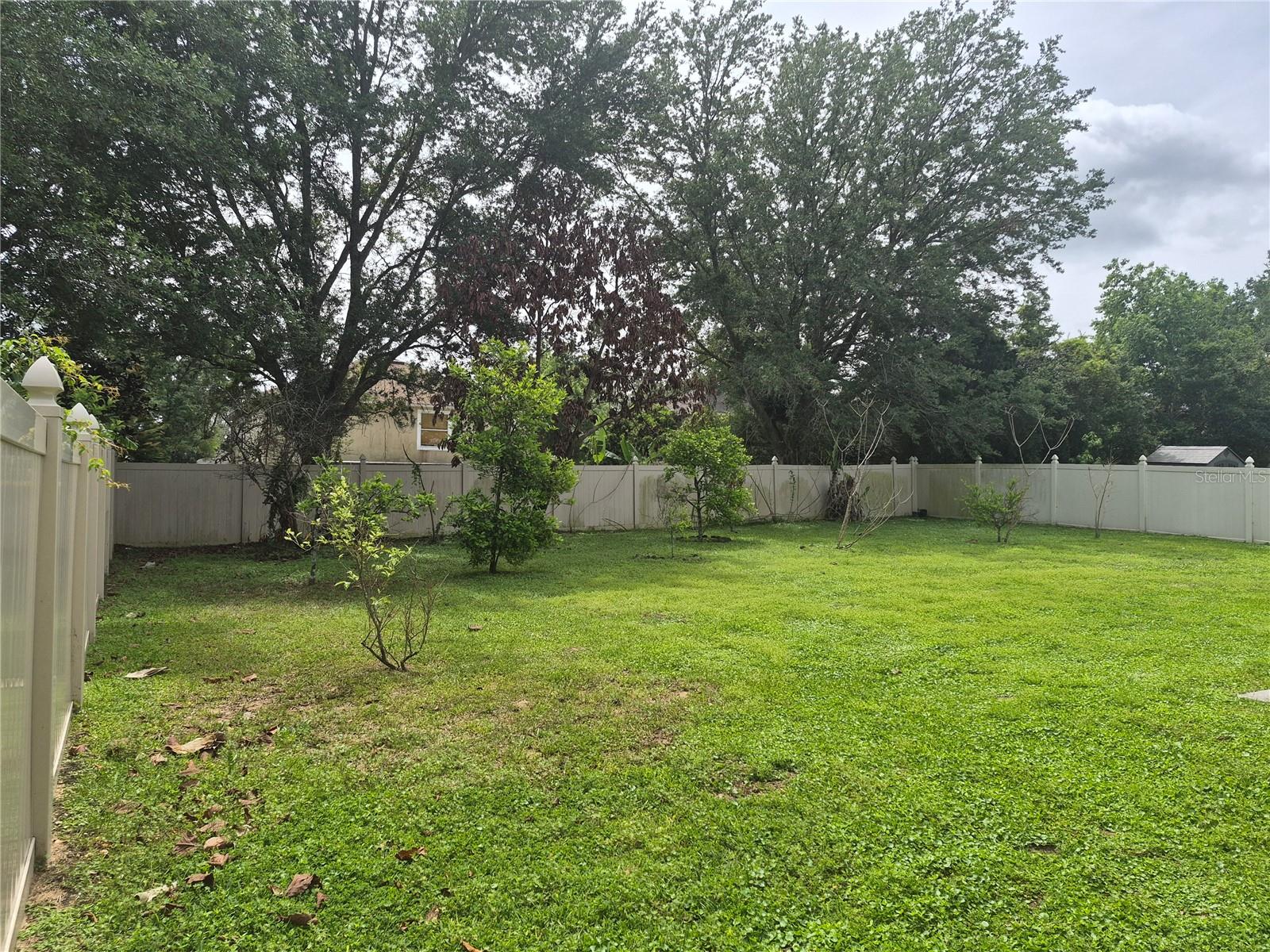 2554 Palmetto Ridge Circle Property Photo 3