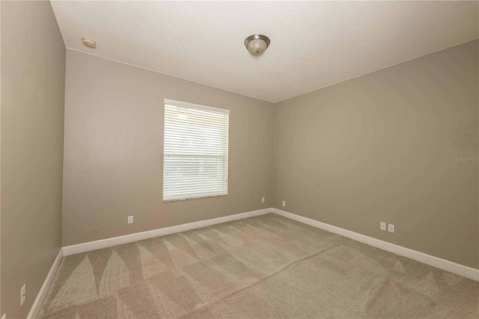 4810 Lake Milly Dr Property Photo 25