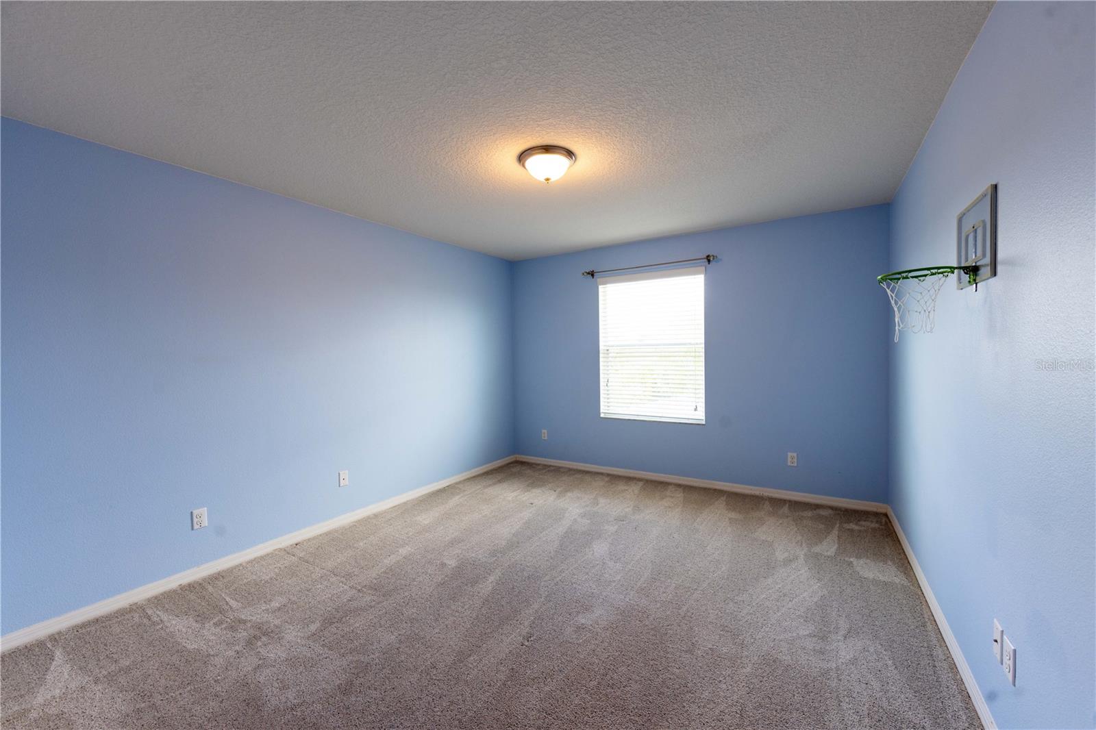 4810 Lake Milly Dr Property Photo 45